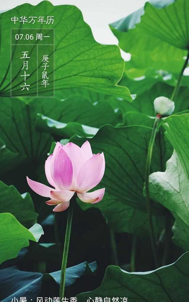 隋朝多少年，三國兩晉南北朝持續(xù)了多少年？圖3