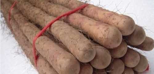 如何挑選好品質(zhì)的山藥，如何挑選山藥的好壞？圖9