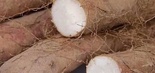 如何挑選好品質(zhì)的山藥，如何挑選山藥的好壞？圖12