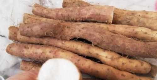 如何挑選好品質(zhì)的山藥，如何挑選山藥的好壞？圖13