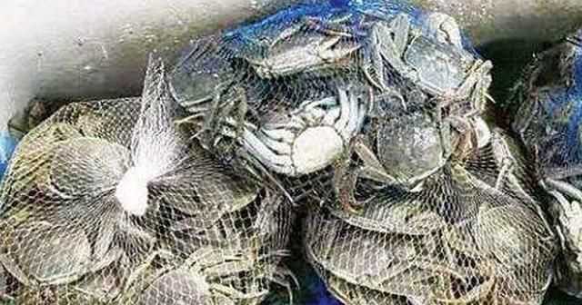 熟螃蟹冷凍能放多久，螃蟹煮熟后冷凍能保存多久？圖4