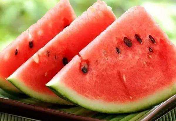 夏天應(yīng)季水果蔬菜有哪些,夏天的蔬菜有哪些應(yīng)季的圖3