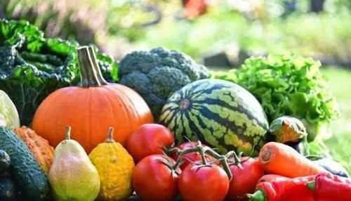 夏季水果有哪些圖片大全