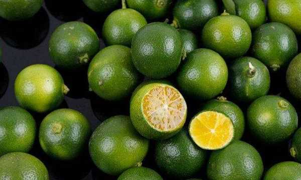 金桔有青色的,金桔又小又青為什么還那么甜圖2