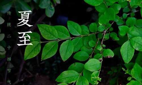 夏至是夏天到了的意思嗎