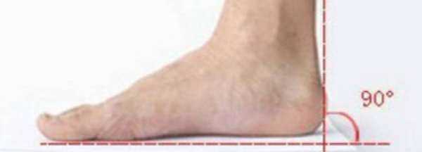 怎么確定自己腳的碼數(shù),怎么知道自己是什么星座圖8