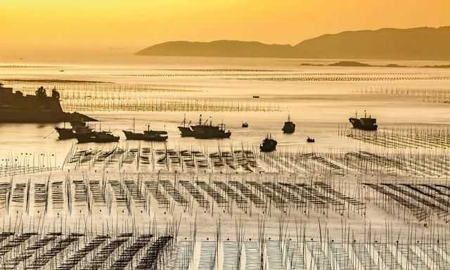 石牛山索道多少米，德化石牛山索道長(zhǎng)度在國(guó)內(nèi)排第幾？圖14