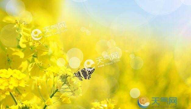 春分后天氣就暖和了嗎