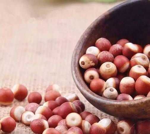 芡實是蓮子的一種嗎