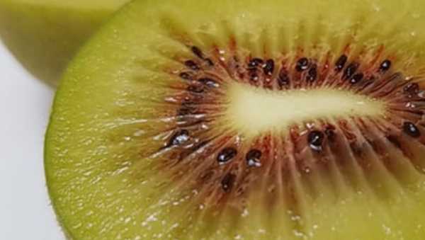 已經(jīng)熟的獼猴桃可以放冰箱,熟了的獼猴桃可以放冰箱保存嗎圖4