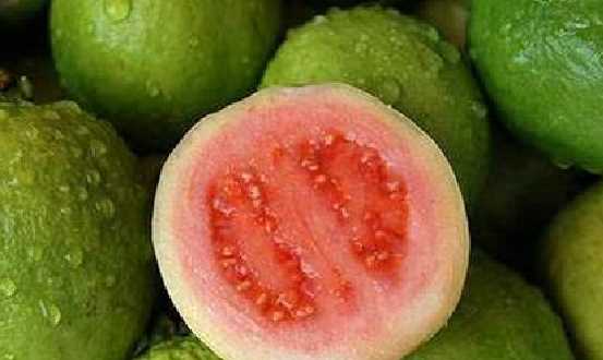 芭樂有紅肉的,紅心芭樂有什么功效與作用及禁忌圖2