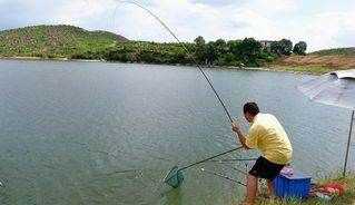 夏天釣鯽魚用哪些餌料配方,夏天釣鯽魚最佳餌料配方圖5