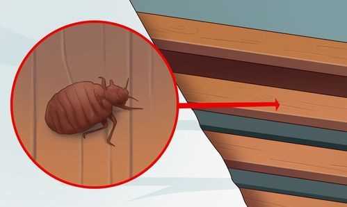 晚上開燈睡覺對人有什么傷害