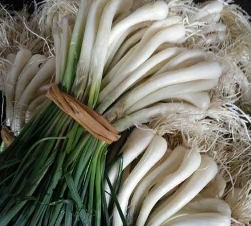 怎樣腌制糖醋蕌頭