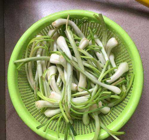 蕌頭如何腌制,農(nóng)民種植水稻的過程圖6