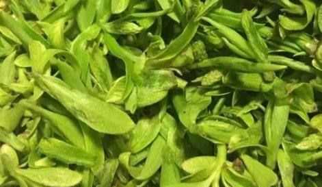 柳樹(shù)芽怎么吃,柳樹(shù)芽怎么做好吃,長(zhǎng)期吃可以嗎?圖1