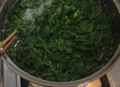 柳樹(shù)芽怎么吃,柳樹(shù)芽怎么做好吃,長(zhǎng)期吃可以嗎?圖11