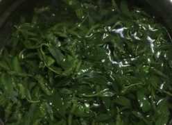 柳樹(shù)芽怎么吃,柳樹(shù)芽怎么做好吃,長(zhǎng)期吃可以嗎?圖12