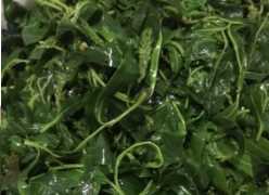 柳樹(shù)芽怎么吃,柳樹(shù)芽怎么做好吃,長(zhǎng)期吃可以嗎?圖13