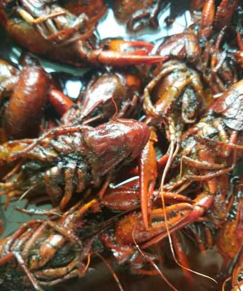 怎么確定龍蝦是熟透的