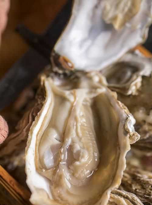 生蠔撬開后肉還要洗嗎,生蠔打開后需要清洗 生蠔打開后能放多久