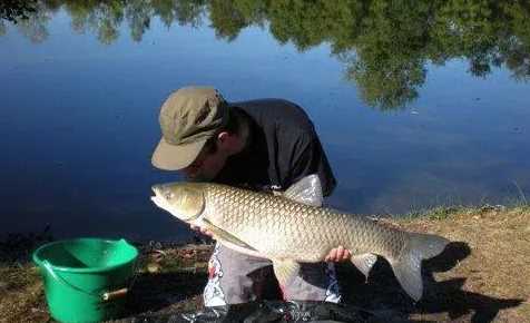 水庫(kù)釣草魚(yú)釣底還是釣浮,釣草魚(yú)是釣底還是釣浮比較好圖5