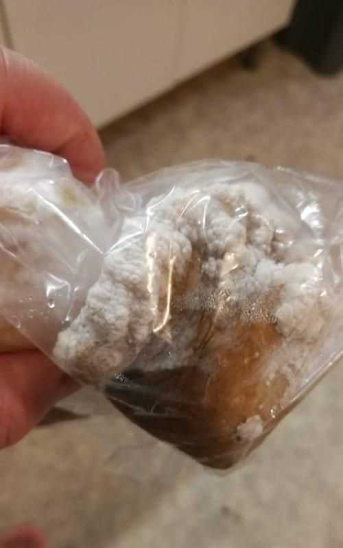 如何辨別杏鮑菇壞沒壞