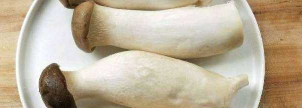 杏鮑菇頭有點爛能吃,杏鮑菇有點爛了能吃嗎圖4