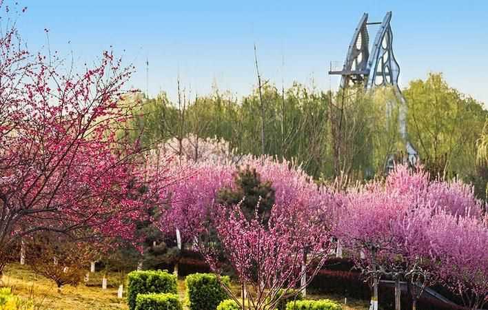 花紅柳綠是什么季節(jié)的詞語