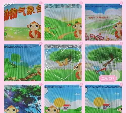 哪些小動物能預(yù)知下雨的視頻