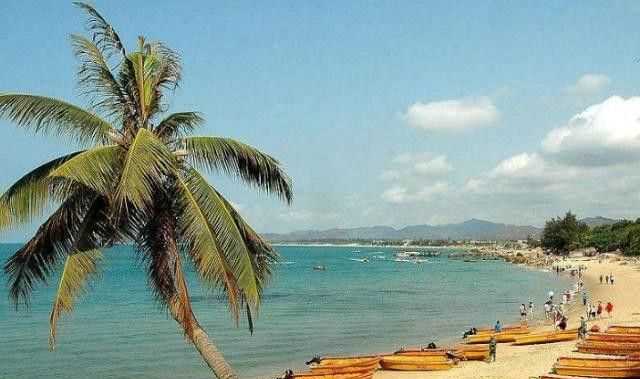 ?？诤腿齺喌木暥确謩e是多少