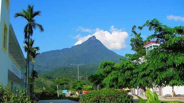 ?？谑侨齺唵?，?？诤腿齺喌木暥确謩e是多少？圖5