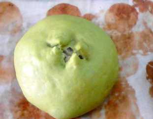 烤箱能烤生包子,包子蒸多長時(shí)間最好吃圖17