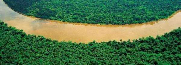 熱帶雨林有什么危險(xiǎn)的東西,熱帶雨林有什么危險(xiǎn)的東西?圖3