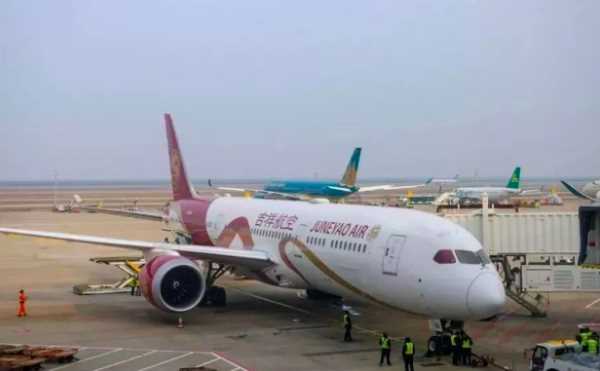 航班熔斷后下一班乘客怎么辦,吉祥航空上海飛新加坡航班時間圖1