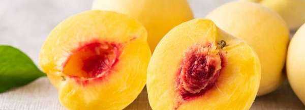 蒸黃桃罐頭需要蒸多久,蒸黃桃罐頭需要蒸多久才熟圖1