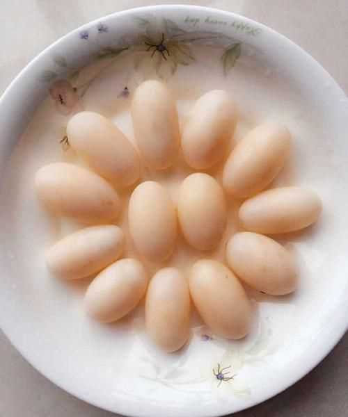 烏龜?shù)翱梢猿詥嵊惺裁礌I養(yǎng)