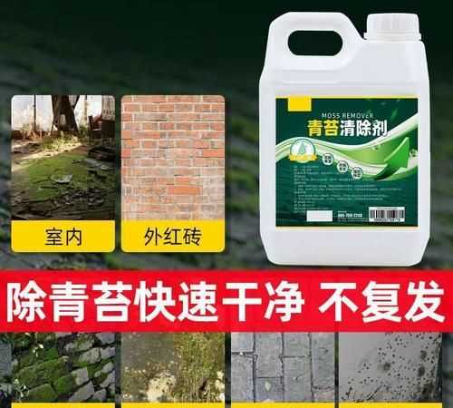 水泥地面青苔怎么快速清除