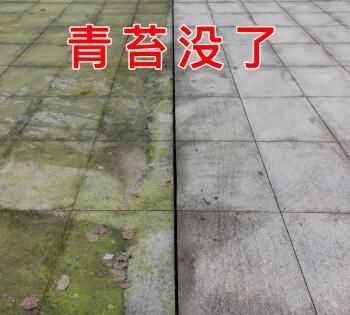 水泥地面上的青苔怎么才能徹底清除