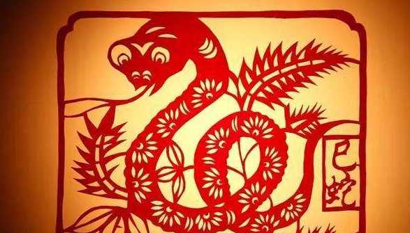 冬天不出來(lái)活動(dòng)的動(dòng)物有哪些,什么動(dòng)物冬天不運(yùn)動(dòng)圖4