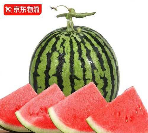 整個西瓜儲存方法和時間