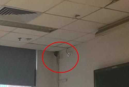 我的單位辦公室和宿舍棚上，里面有老鼠怎么辦，求助各位了