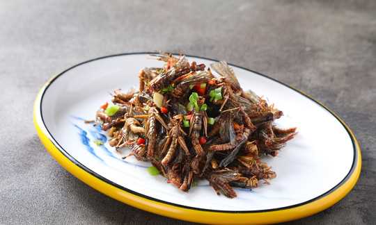 螞蚱可以吃,農(nóng)村草叢里常見(jiàn)的螞蚱圖片圖2