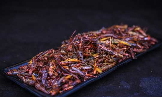 螞蚱可以吃,農(nóng)村草叢里常見(jiàn)的螞蚱圖片圖3