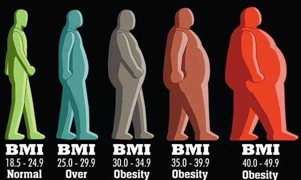 體脂怎么測比較準,怎么才能測體脂率圖5