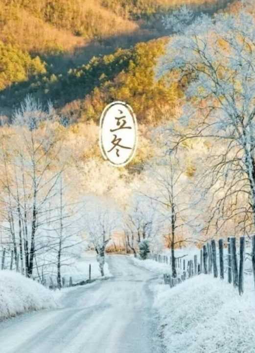 立冬吃餃子的寓意,立冬節(jié)氣吃餃子的含義是什么圖3