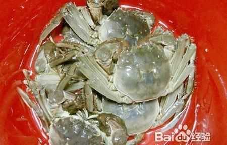 螃蟹可以放水里養(yǎng)著嗎