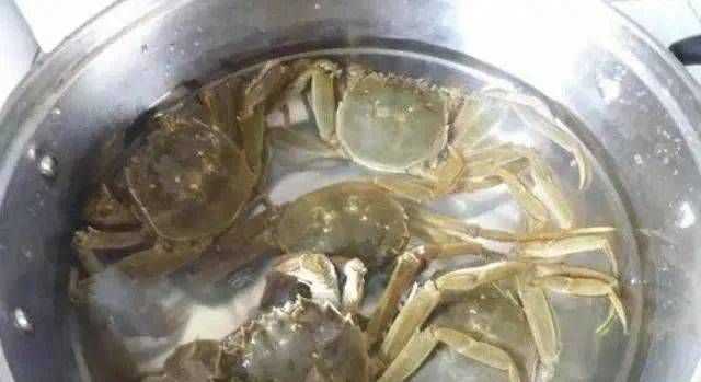 螃蟹寵物放水里養(yǎng)還是干放