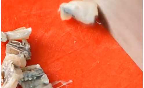 田雞怎么炒才不會(huì)老,炒田雞怎么做好吃圖11