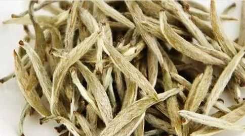 煮老白茶上火還是去火